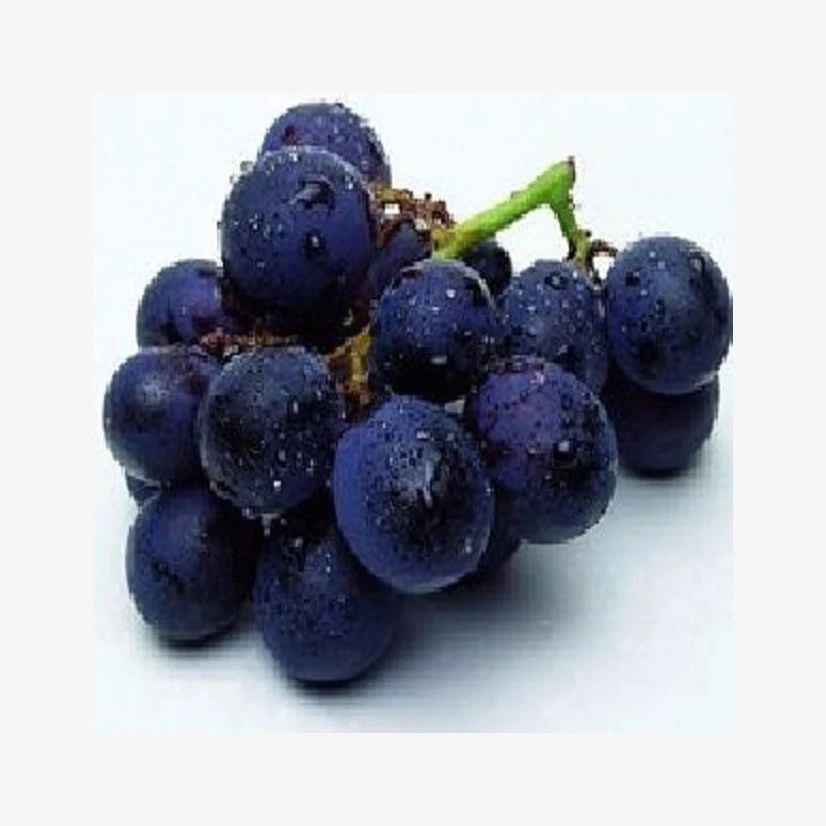 Fresh Grapes Black Grapes Fresh Grapes For Export White For Fresh Use