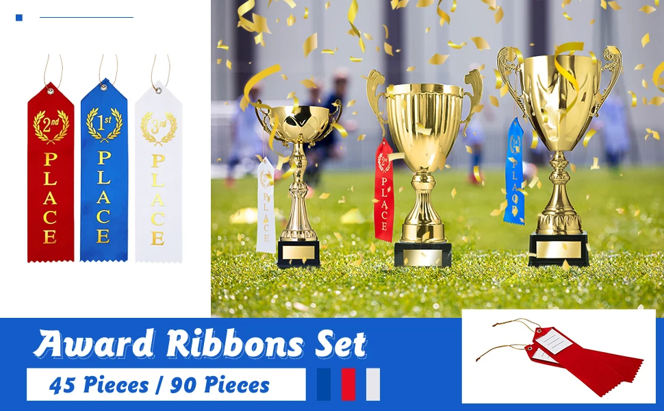  12 Pieces Blank Award Ribbon, 1st Place Rosette Ribbon Prize  Ribbon Award Medals Winner Victory Ribbons Deluxe Recognition Ribbons for  Competition, Sports Event, School, Contests (White) : Office Products