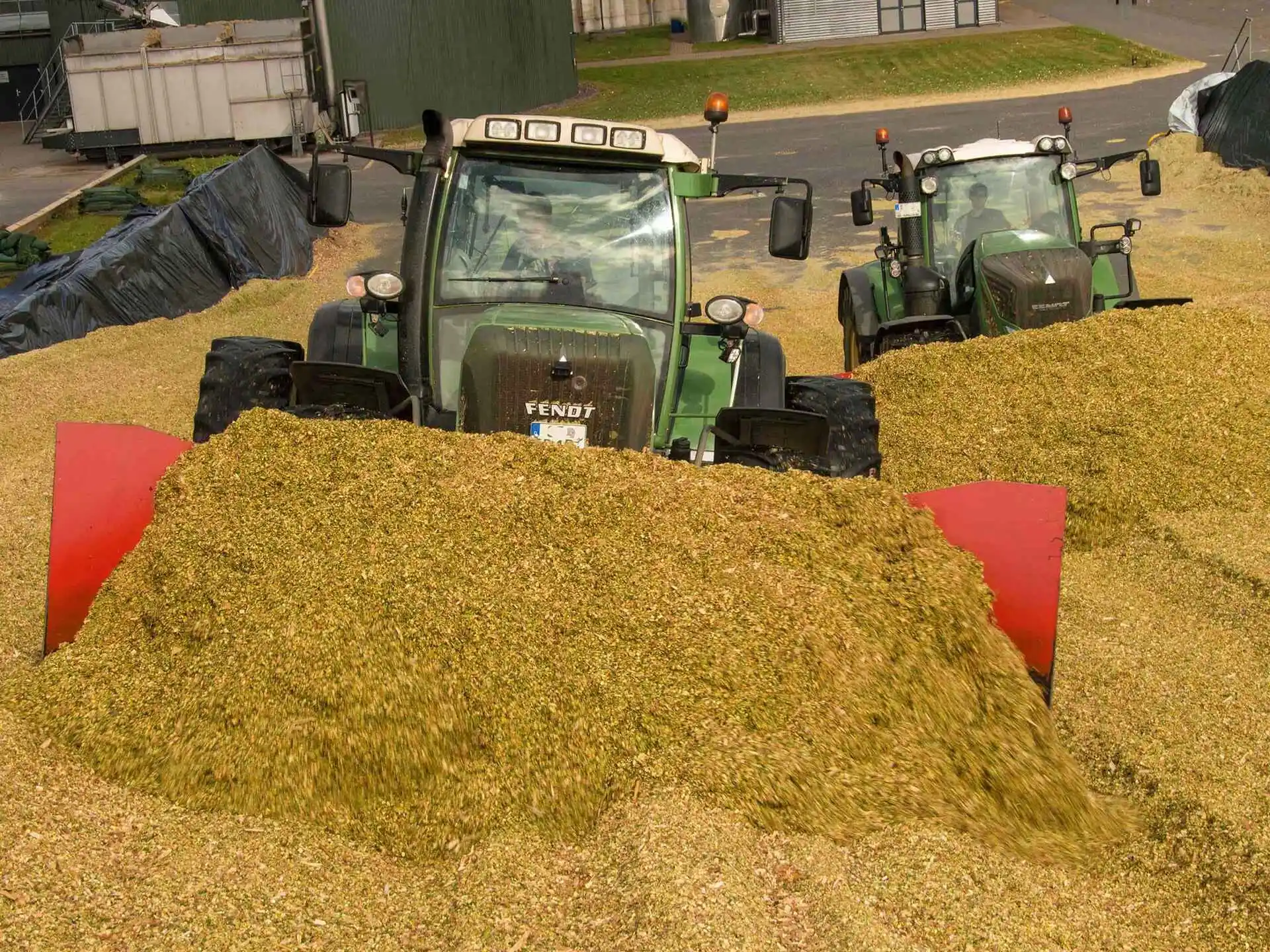 CATTLE FEED CORN SILAGE in STOCK /DRIED SILAGE PELLETS