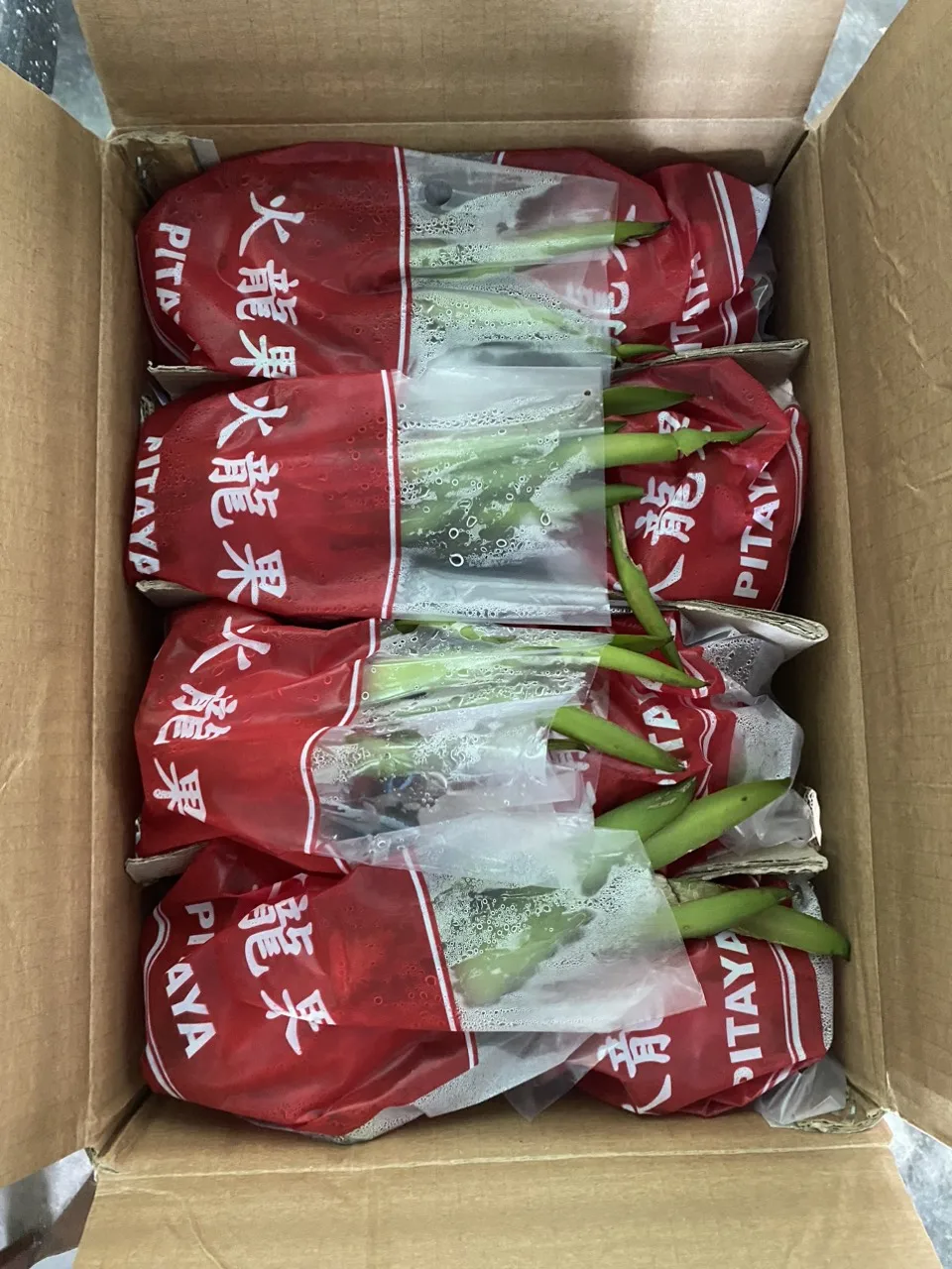 Sweet Taste Fresh Dragon Fruit From Vietnam With Standard Quality And