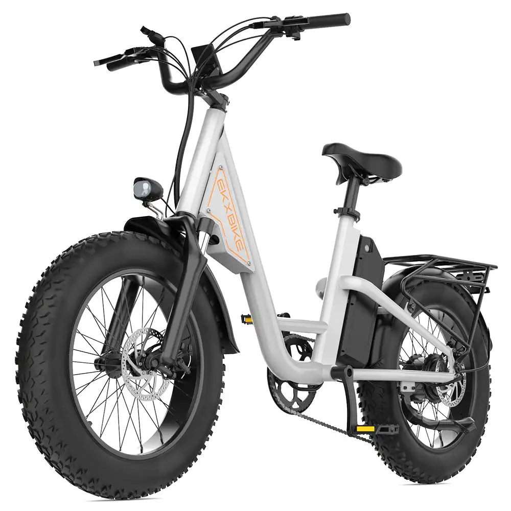 L1 Adult MTB Electric Bicycle with 1000W Rear Hub Motor 48V15.6AH Lithium Battery 20*4.0 Fat Tires Road Mountain Riding Options