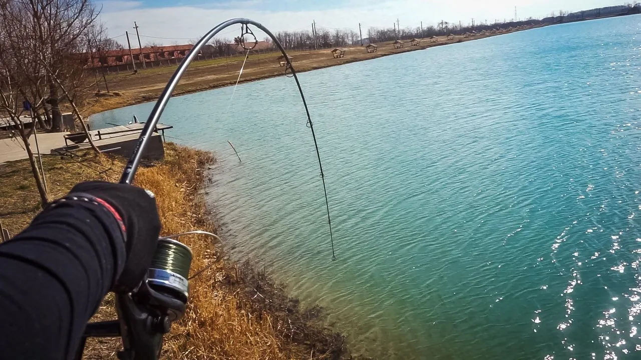 High-end Version Carp Fishing  Rod 2sections 13ft 3lbs