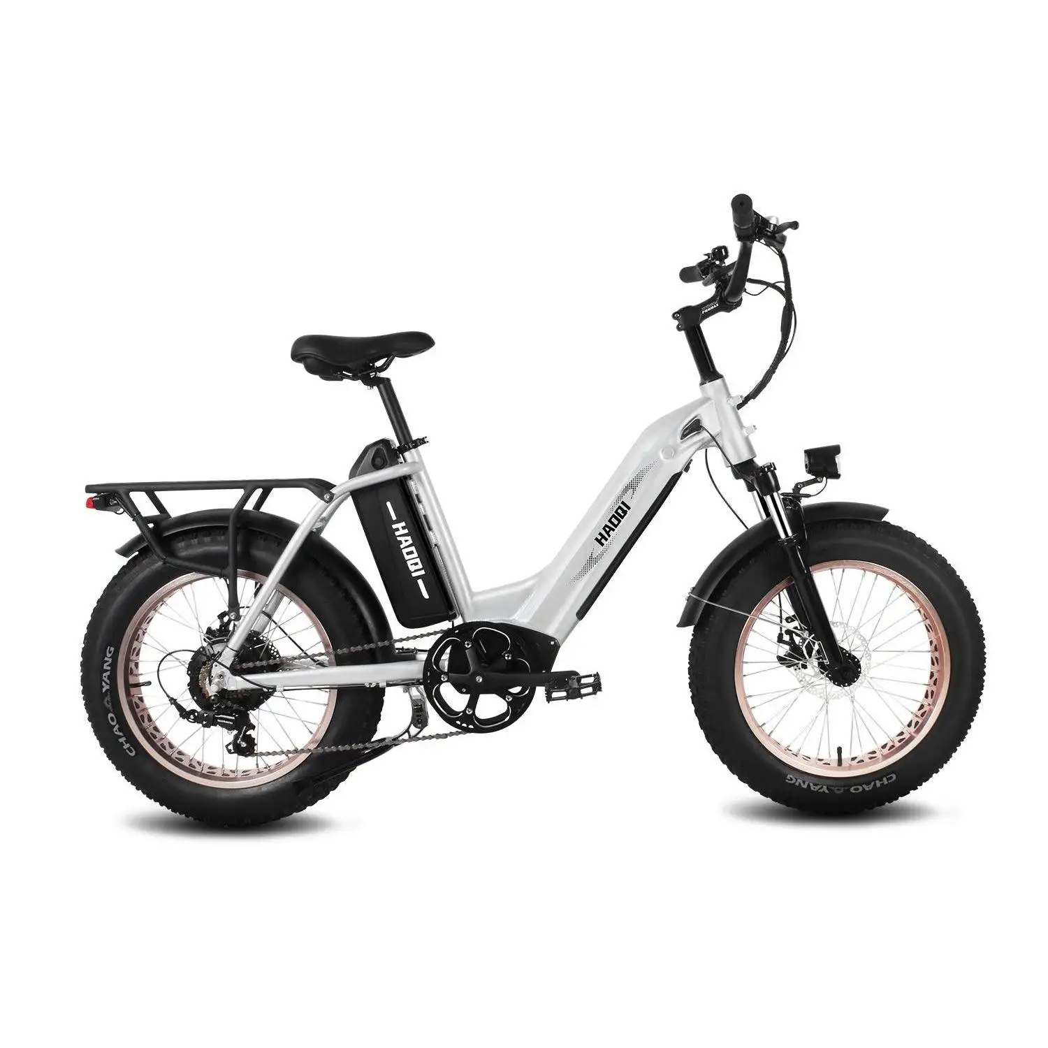 HAOQI Antelope Pro 750W Cargo Electric Bike