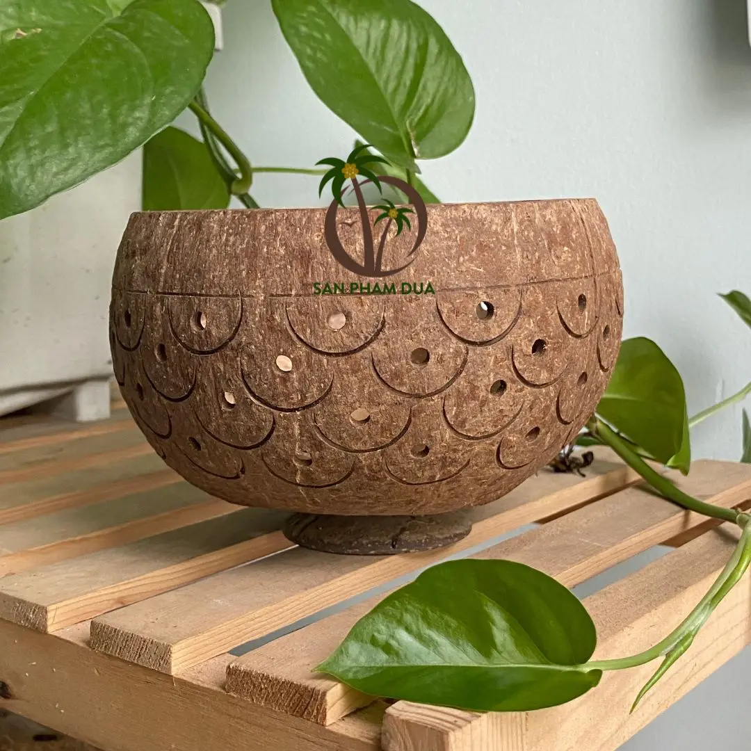 Natural Handmade Coconut Shell Pot Micro-Green Seed Planter with Hanging Feature for Garden Use