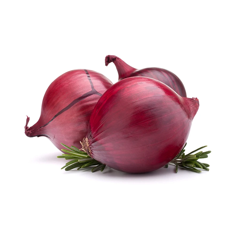 Wholesale Supplier Fresh Vegetables Red Onion At Best Price Buy Onions Fresh Onions Onion