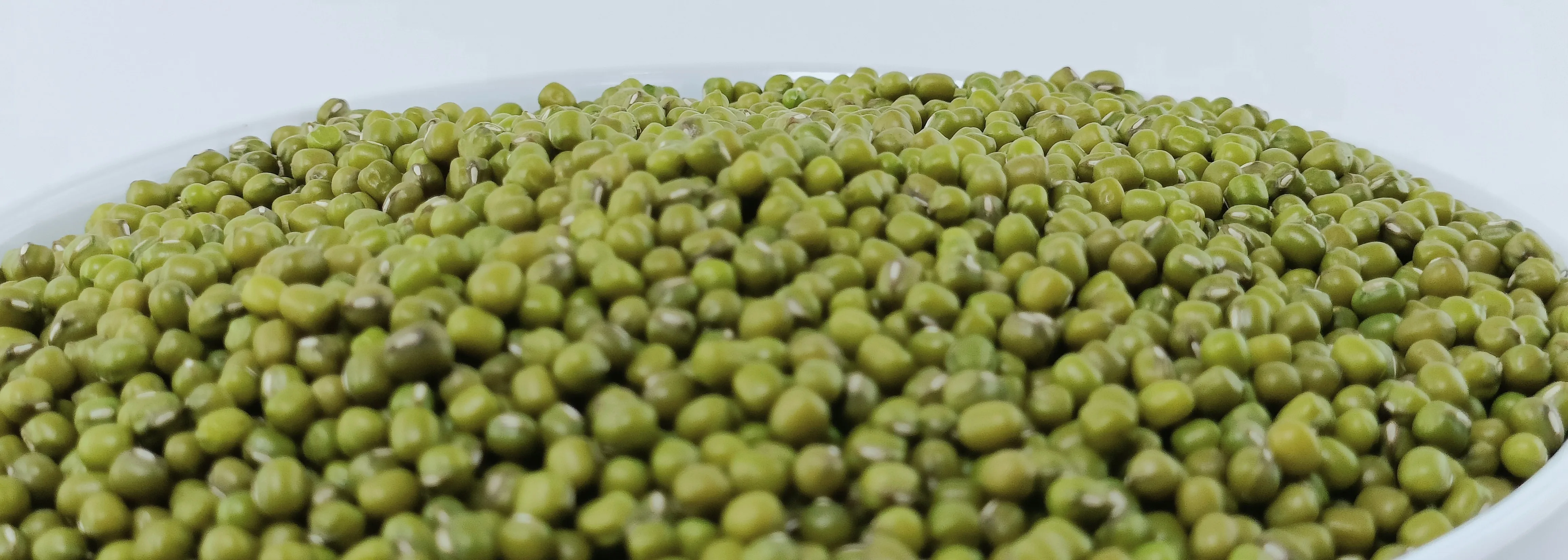 Ethiopian Green Mung Beans 2024 Crop,Bright Green Handpicked And