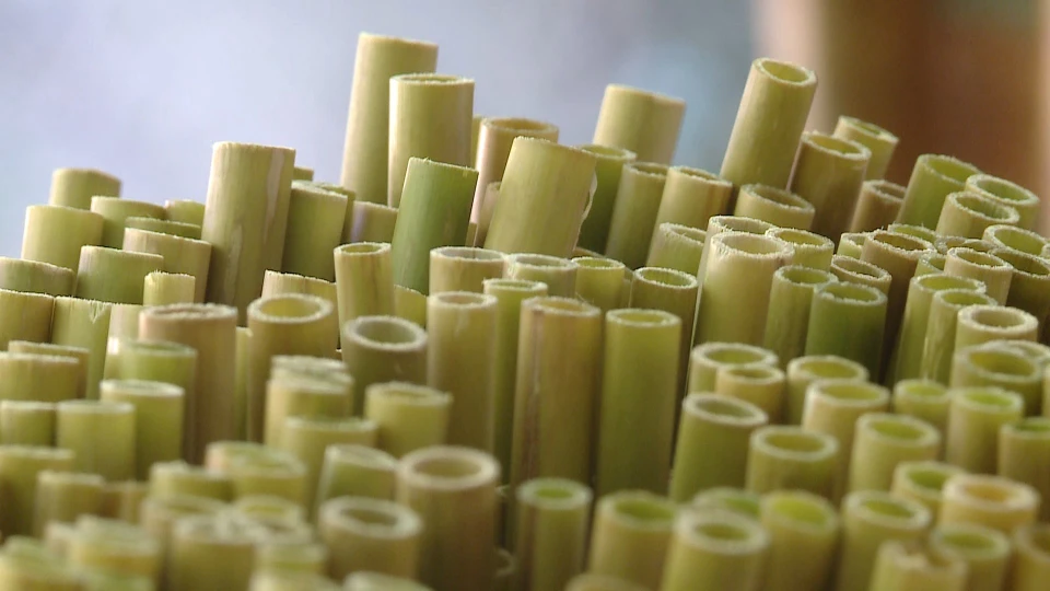 Biodegradable Straws From Viet Nam/single Use Grass Straws Buy Straw