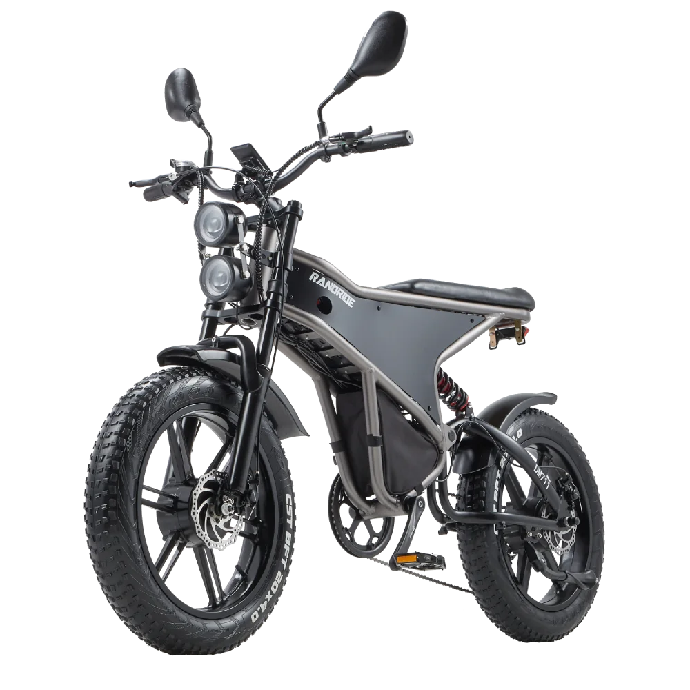 RANDRIDE DM711 Electric Motorcycle Dual Motor Drive 1000W*2 Peak Power for City Commuting