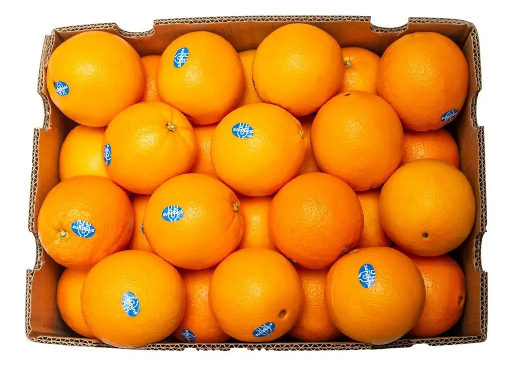 Fresh Oranges/valencia And Navel Fresh Orange Buy Fresh Valencia