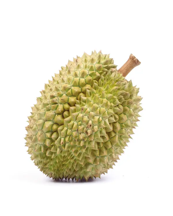 Sweet Fresh Durian Pack in Box From Thailand /  Fresh and Frozen Organic Durian Monthlong OEM Offered Yellow Tropical Style Thai