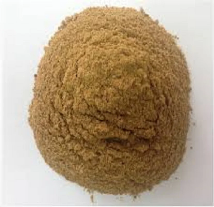 100 Organic High Protein Meat And Bone Meal Meat Bone Meal Buy Meat