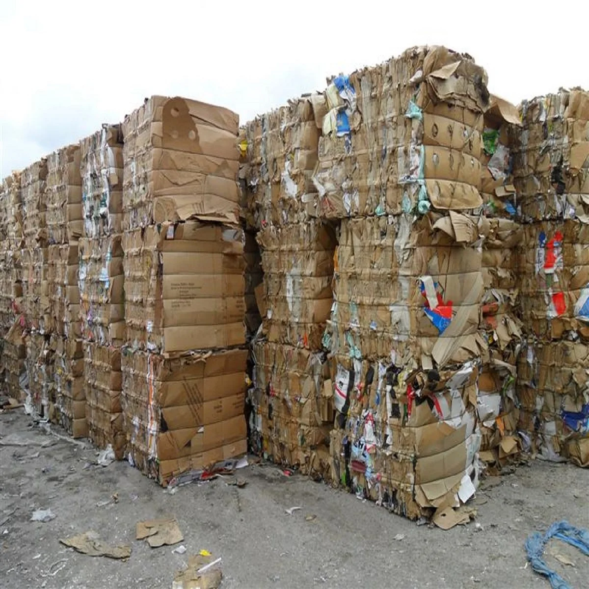OCC Waste Paper - Scraps 100% Cardboard..