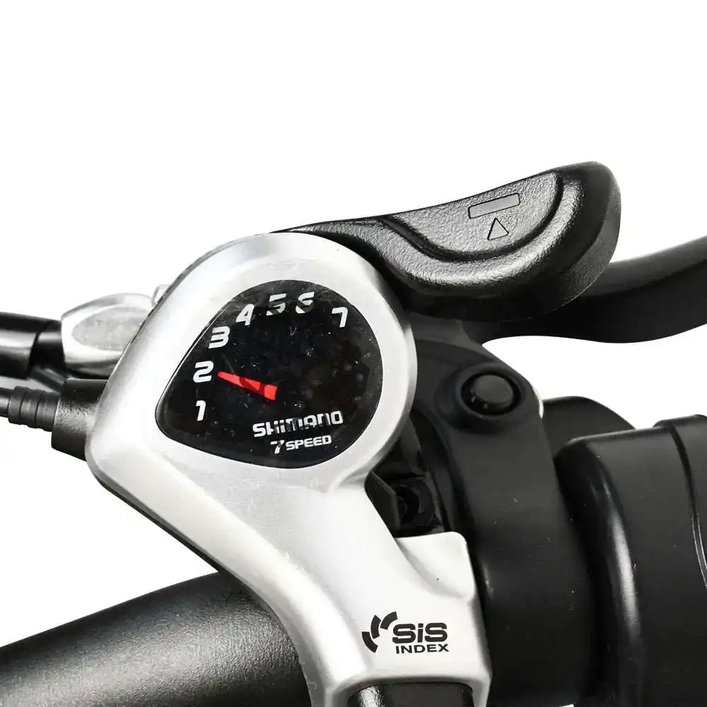 BAOLUJIE DZ2002 20-Fold City Electric Bike with 500W Motor 48V 13Ah Lithium Battery Fat Tire Electric Bike with Rear Hub Motor