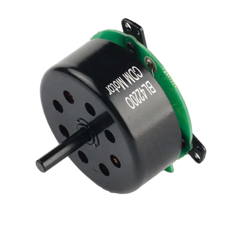 BL4220O CDM Professional Brushless DC Motor for Hair Dryer