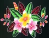 Marrón
