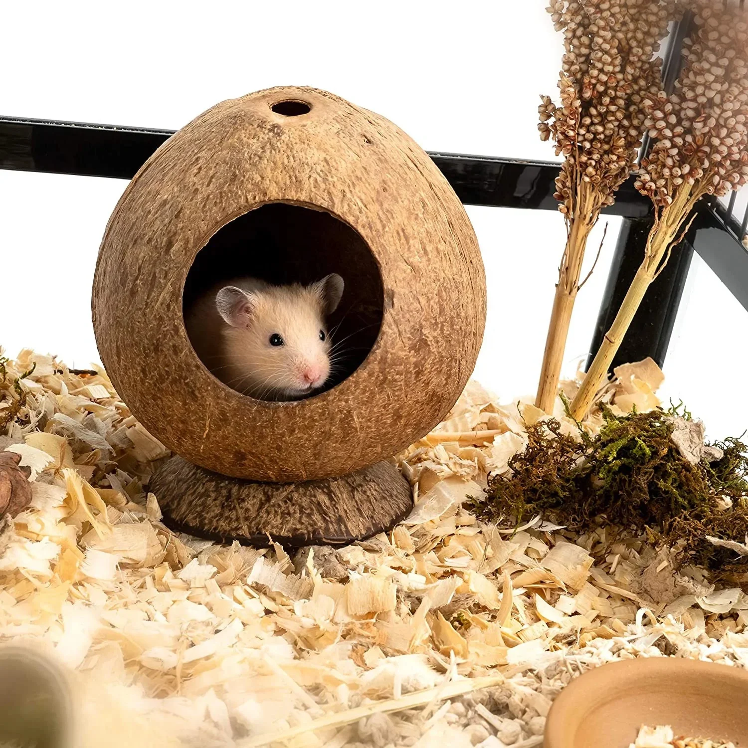Coconut Hut Hamster House Bed For Gerbils Mice Small Animal Cage Hamster Hideout Coconut Nest