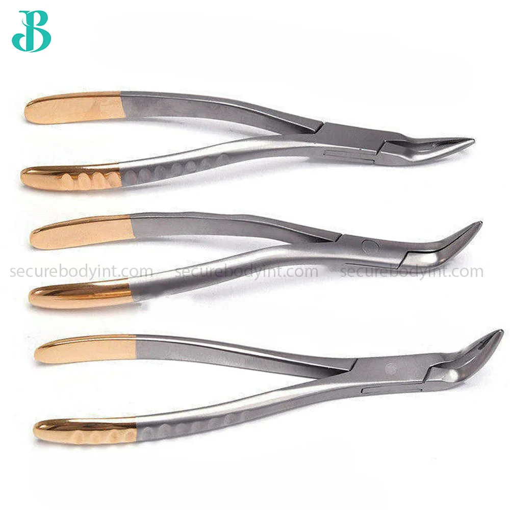 Dental Forceps Root Tooth Extraction Tooth Pliers Forceps With Fitting
