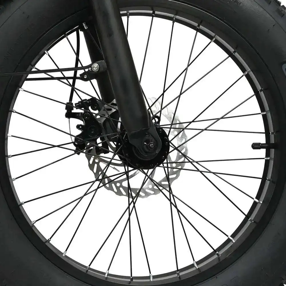 BAOLUJIE DZ2002 20-Fold City Electric Bike with 500W Motor 48V 13Ah Lithium Battery Fat Tire Electric Bike with Rear Hub Motor