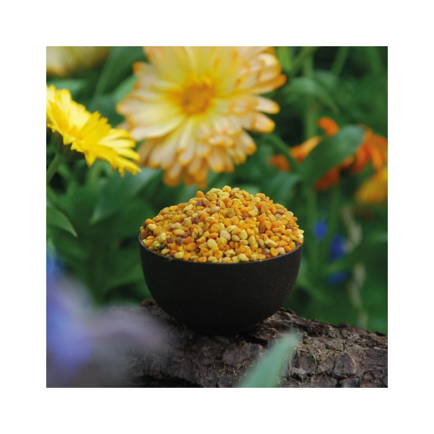 Anti-Oxidation Raw Material Pure Natural Honey Bee Pollen