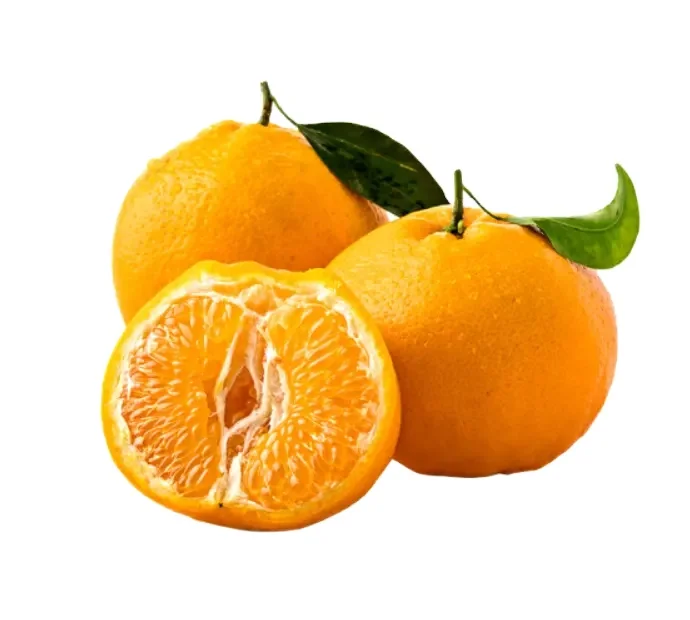 H8695809974044afe83fe51659a56f103t.png_960x960.jpg