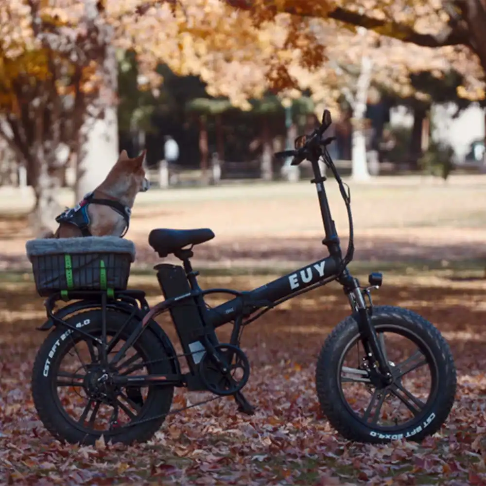 Euy F6 Long Range Electric Mountain Bike with Fat Tire Premium Electric Bike Product