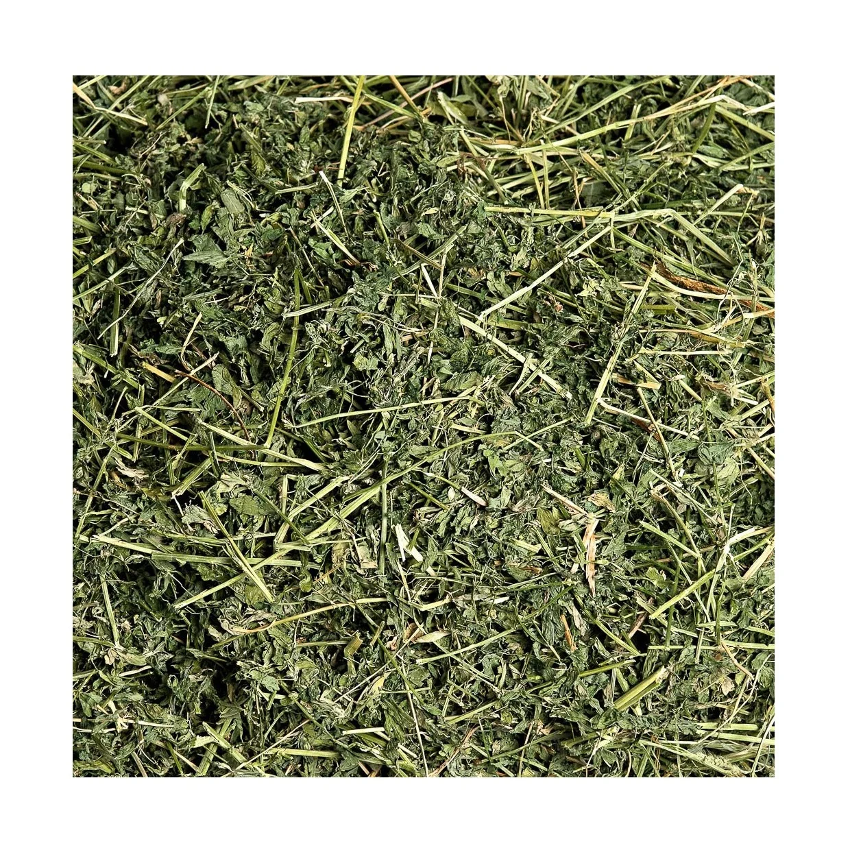 Alfalfa For Feeding Animals For Cattle And Other Farm Animals Great
