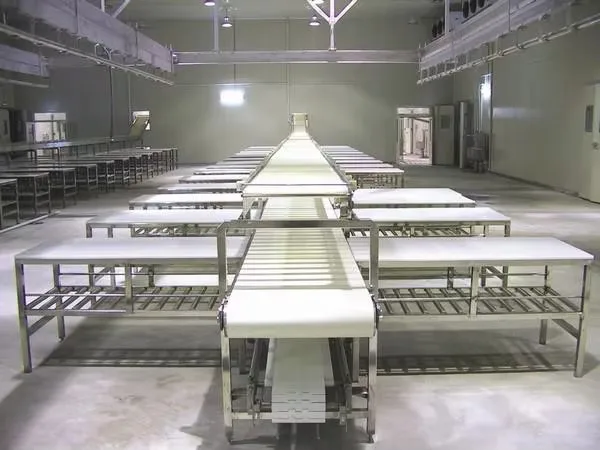 Efficient meat deboning and striping lines in stainless steel construction for beef, pork, lamb and poultry processing