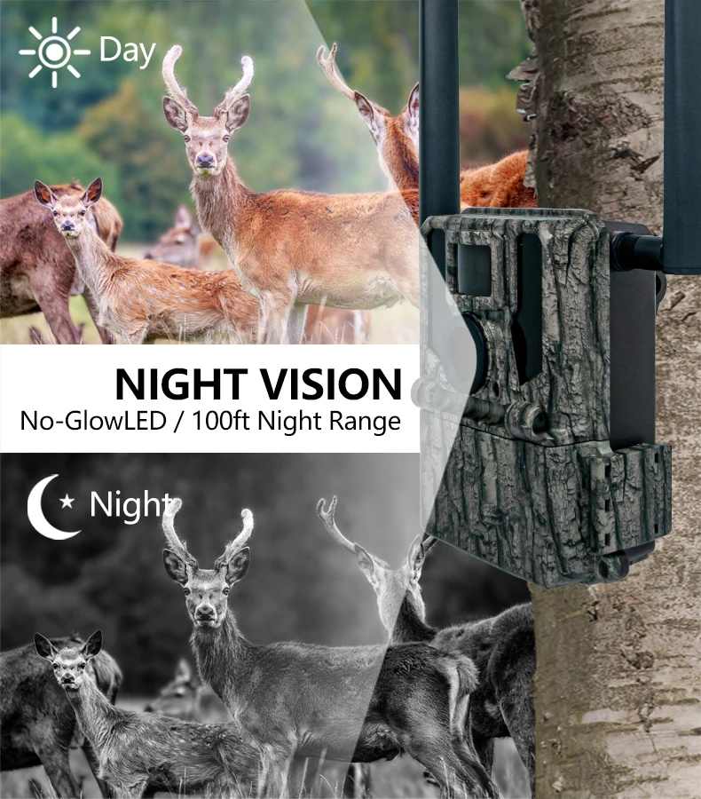 KW897 wildlife camera 4g built in SIM card 36MP 2K scouting camera  Hunting plug&play ready device 1080p Video hidden