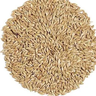 best quality canary seed