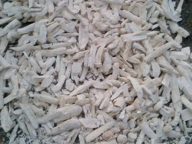 SUPPLYING DRY TAPIOCA/CASSAVA SLICE in BULK FROM VIETNAM - Cassava Chips for EU, Japan, USA at Competitive Price