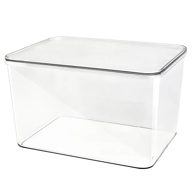 DSMY Clear Storage Box, PET Storage Bins Multifunction Organizers and Containers with Lid, Plastic for Cloth Shoes Grain Modern