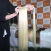 Ponytail 05