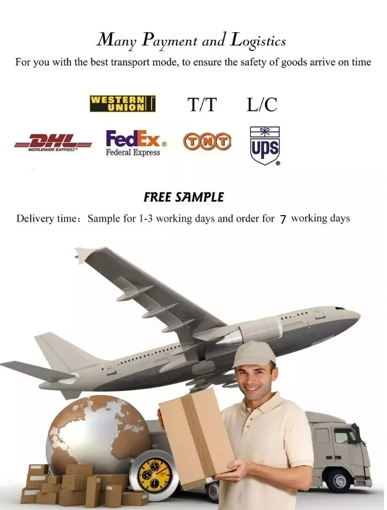 Dissection Kit For Veterinary Students Dissection Tools Entomology