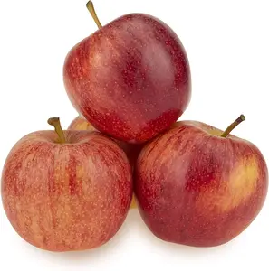 Discount Price Fresh Apples Red Fuji Green Golden Delicious Apples, Royal Gala Apples, Granny Smith Fresh Apples Price