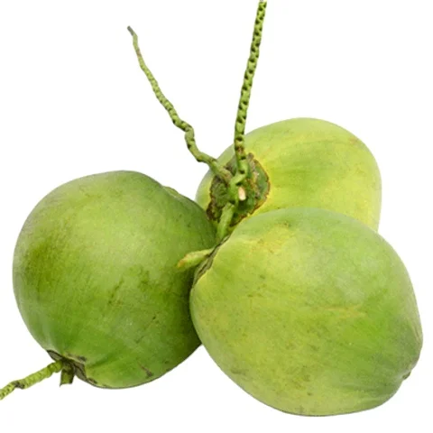 45454 (1).png