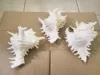 Natural White