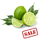 High Quality Wholesales Natural Origin Good Price From Viet Nam Ready To Ship Fresh Seedless Lemon Lime