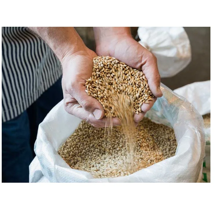 Barley Grains Premium Barley Seeds/animal Feed Barley/bulk Barley Grains Malted Barley Malt