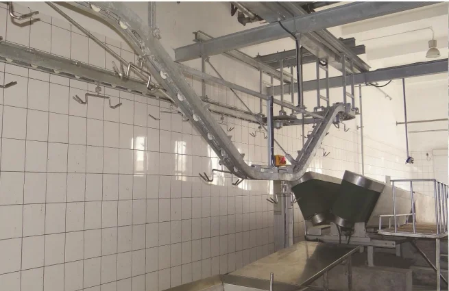 Industrial V-shaped restraint conveyor for halal sheep and goat slaughterhouses