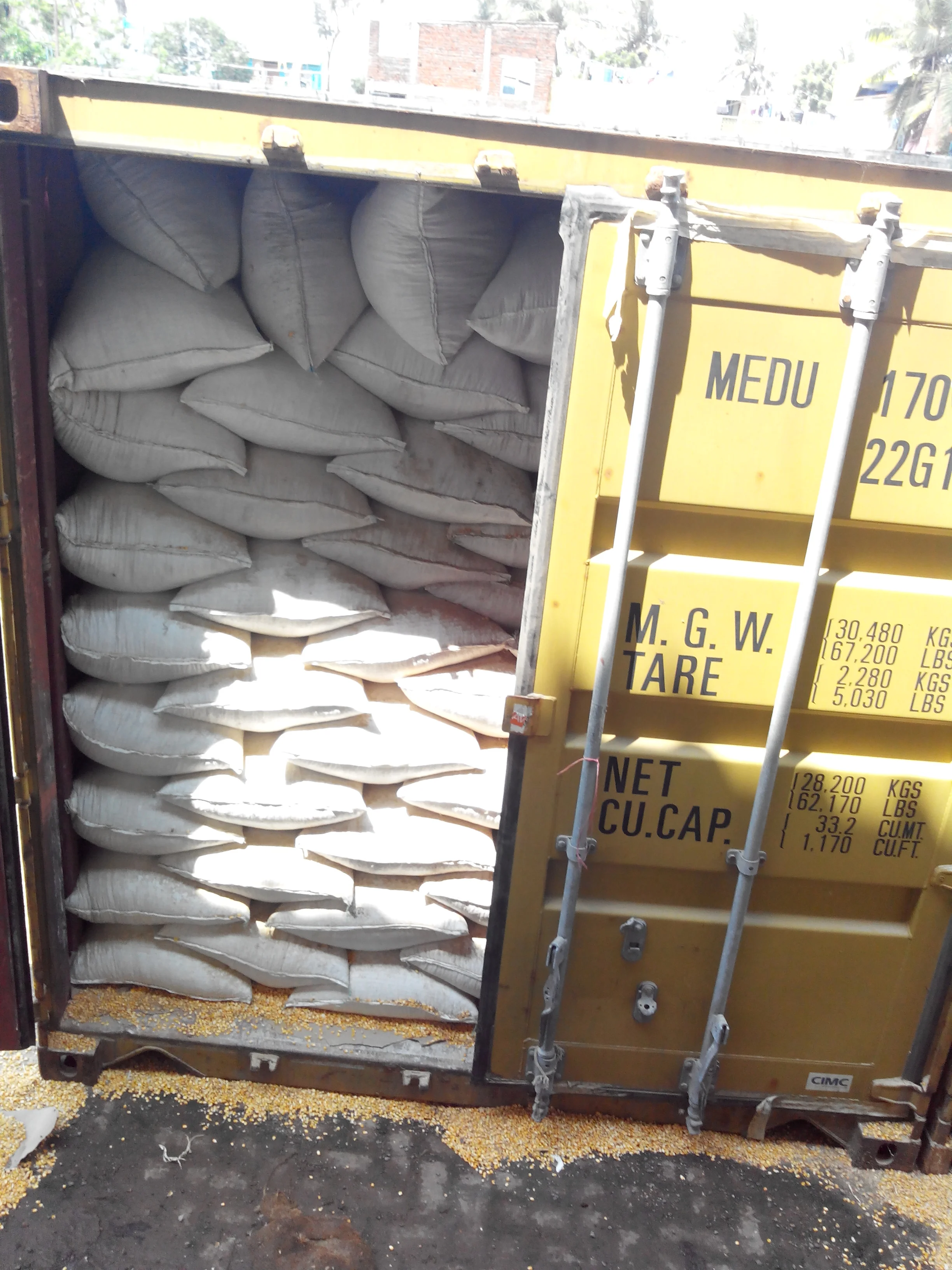 Green Millet Available For Sales At Low Market Price Buy Millet For