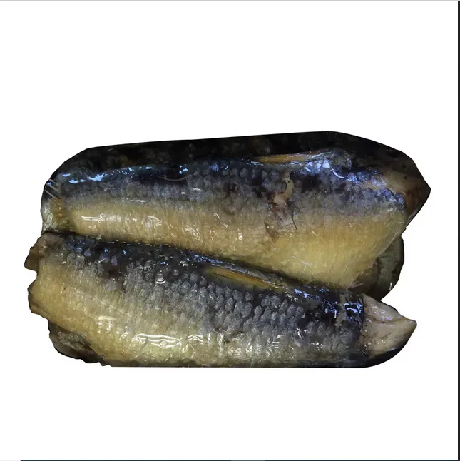 Best Quality Canned Sardine Frozen Sardinella Longiceps For Bait Fish