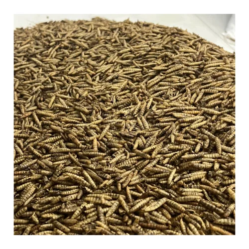 HIGH QUALITY | DRIED MEALWORMS/ BLACK SOLDIER FLY LARVAE WITH HIGH PROTEIN FROM VIET NAM