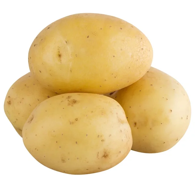 POTATO.jpg