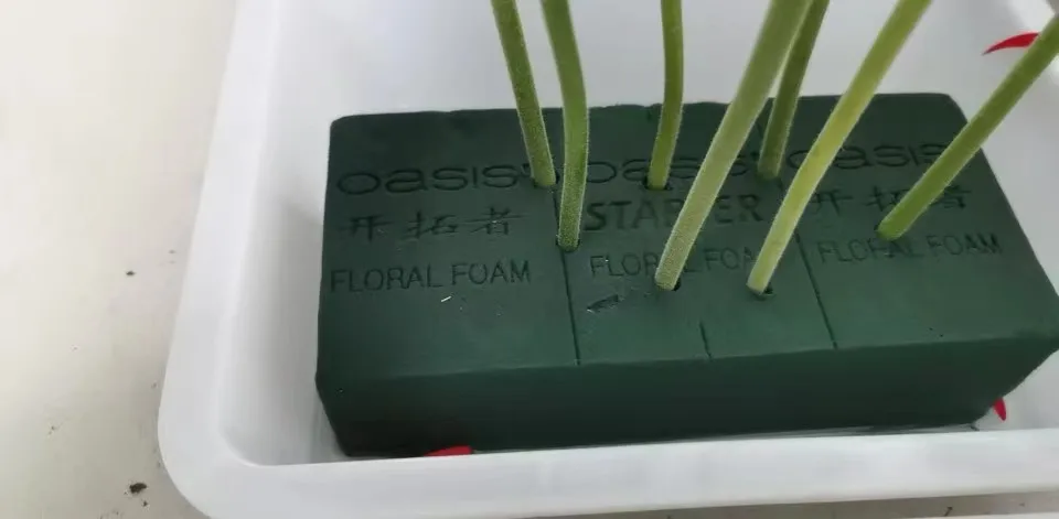 Blocs de mousse florale humide Oasis pour arrangements floraux, blocs de boue vert pour fleurs fraîches et préservées, argile florale, mousse de fixation pour fleurs