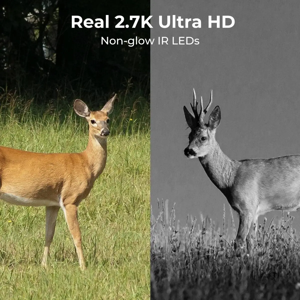 Night Outdoor Hunting Waterproof Motion Sensor Infrared Night Vision 4G Wildlife Deer Game Wild Hunting Trail Cams