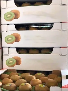 Свежие фрукты Kiwi 90 г в скрипиках и пластиковые картонные коробки турецкий оригинальный оптовая продажа свежих