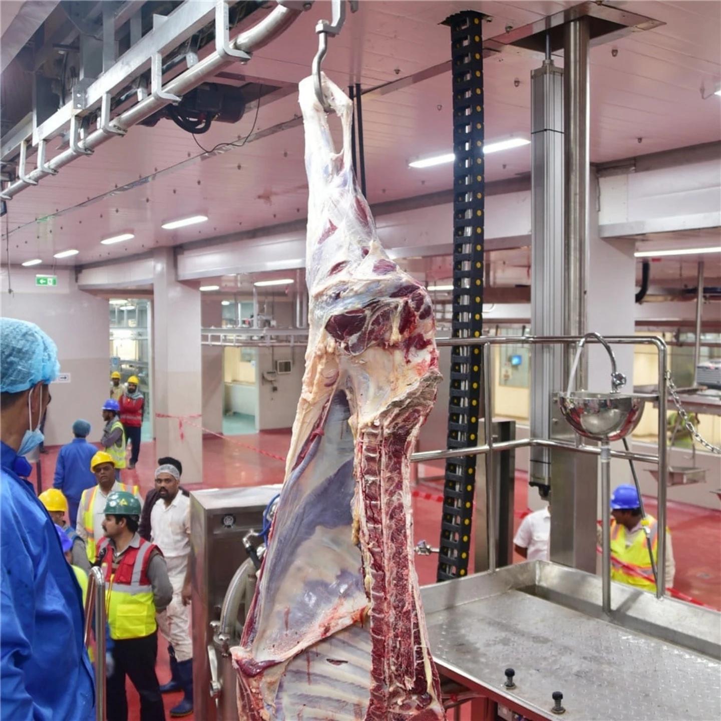 Professional Beef Carcass Cutting Saw - Heavy-Duty Construction, High Production, Industry-Leading Reliability