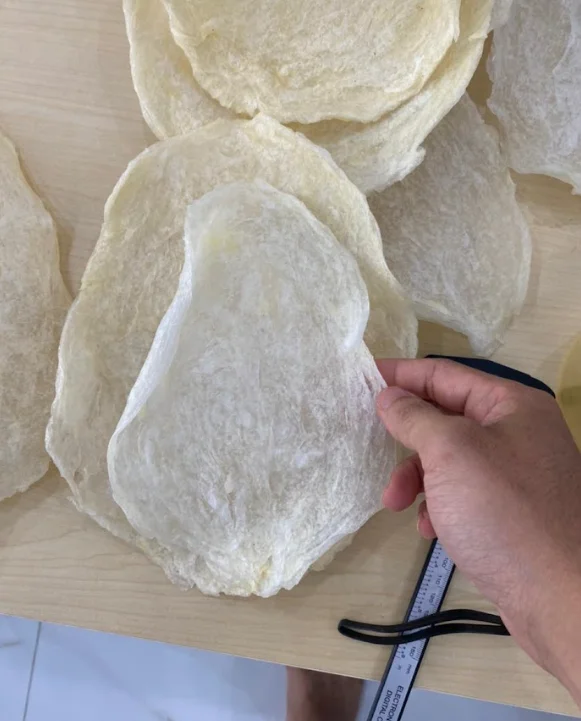 Dried Fish Maws High Crispy Texture And Full Of Nutrition Buy Fish