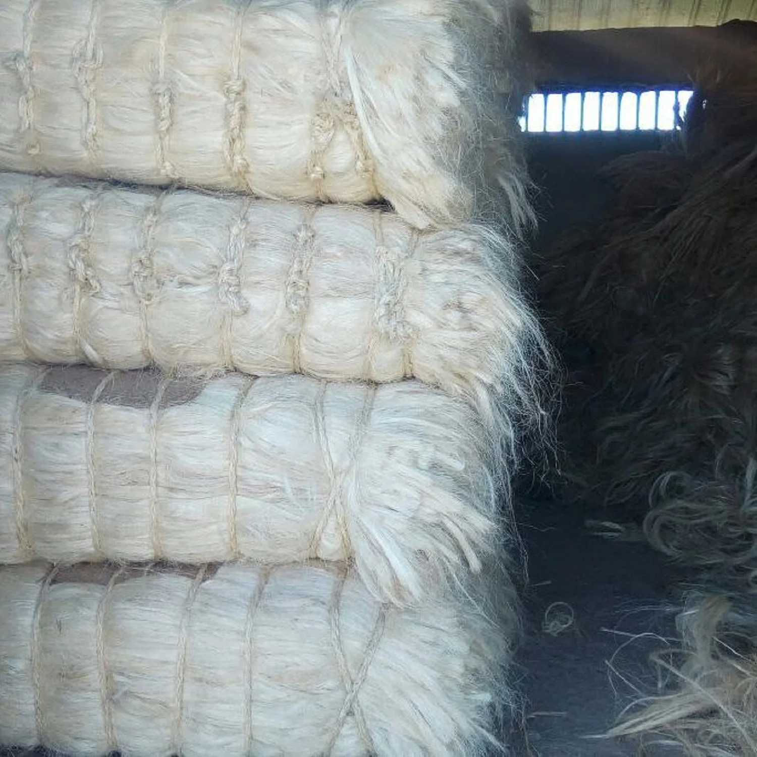 Wholesale Supply on Cheap Sales of Quality Sisal Fibre Sisal Hemp Natural UG Grade Sisal Fiber