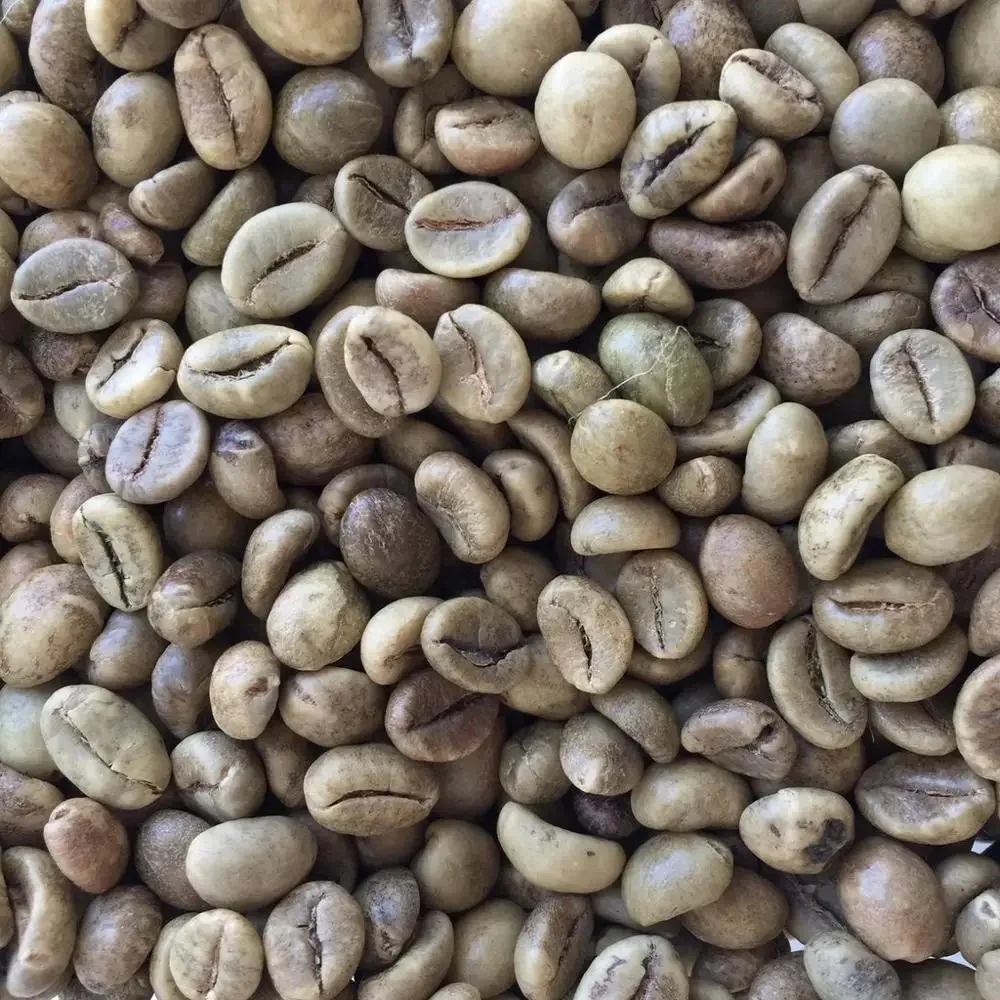 Wholesale Cheap arabica coffee beans premium coffee supplies arabica coffee beans